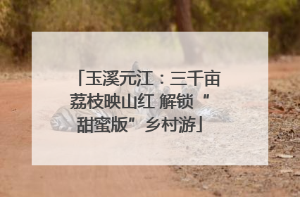 玉溪元江：三千亩荔枝映山红 解锁“甜蜜版”乡村游
