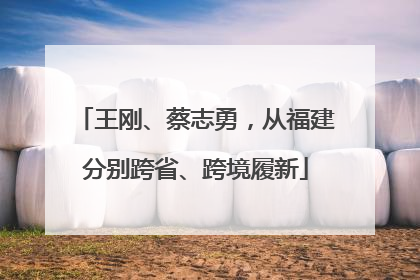 王刚、蔡志勇，从福建分别跨省、跨境履新