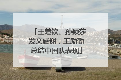 王楚钦、孙颖莎发文感谢，王励勤总结中国队表现