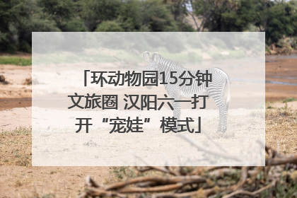 环动物园15分钟文旅圈 汉阳六一打开“宠娃”模式