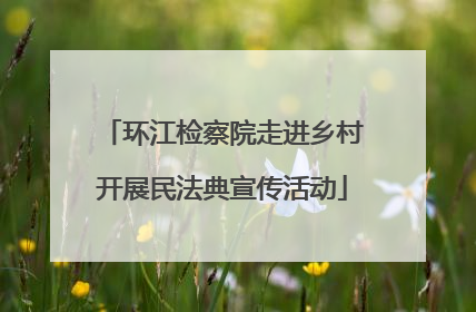 环江检察院走进乡村开展民法典宣传活动
