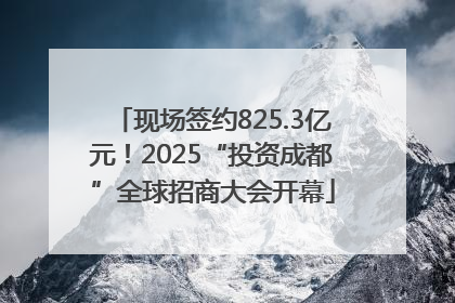 现场签约825.3亿元！2025“投资成都”全球招商大会开幕