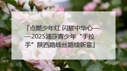 点燃少年红 闪耀中华心——2025浦莎青少年“手拉手”陕西路线丝路续新章