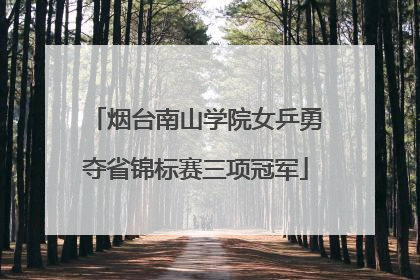 烟台南山学院女乒勇夺省锦标赛三项冠军