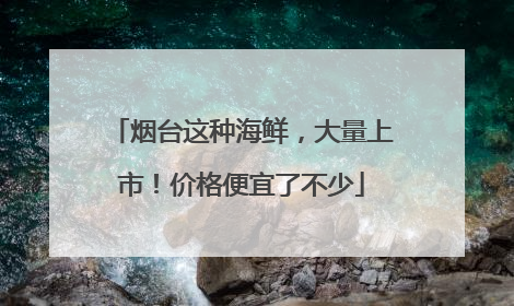 烟台这种海鲜，大量上市！价格便宜了不少