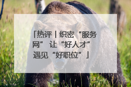 热评丨织密“服务网” 让“好人才”遇见“好职位”