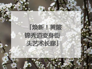 焕新！黄陂锦秀道变身街头艺术长廊