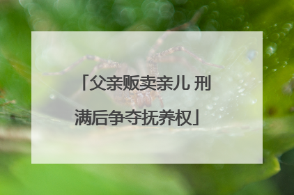 父亲贩卖亲儿 刑满后争夺抚养权