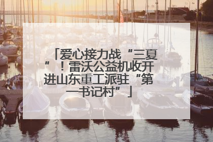 爱心接力战“三夏”！雷沃公益机收开进山东重工派驻“第一书记村”