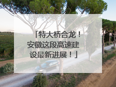 特大桥合龙！安徽这段高速建设最新进展！