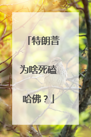 特朗普为啥死磕哈佛？