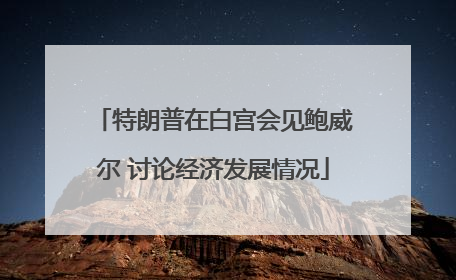 特朗普在白宫会见鲍威尔 讨论经济发展情况