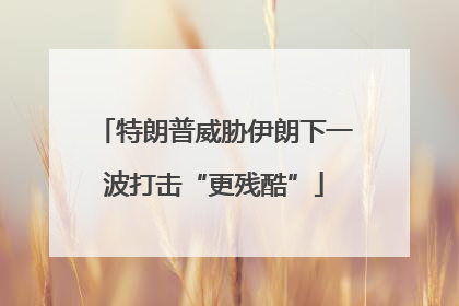 特朗普威胁伊朗下一波打击“更残酷”