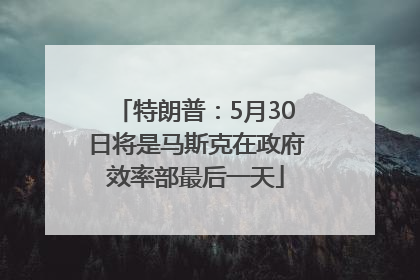 特朗普：5月30日将是马斯克在政府效率部最后一天