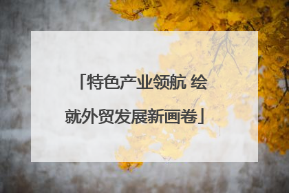 特色产业领航 绘就外贸发展新画卷