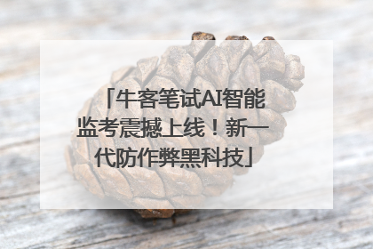 牛客笔试AI智能监考震撼上线！新一代防作弊黑科技