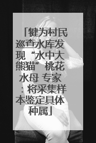 犍为村民巡查水库发现“水中大熊猫”桃花水母 专家：将采集样本鉴定具体种属