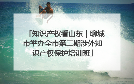 知识产权看山东｜聊城市举办全市第二期涉外知识产权保护培训班