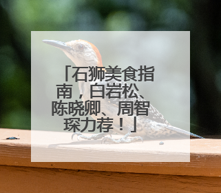 石狮美食指南，白岩松、陈晓卿、周智琛力荐！