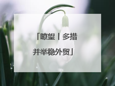 瞭望丨多措并举稳外贸