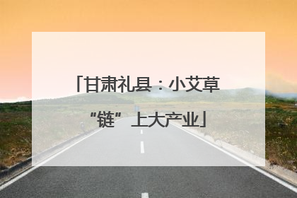 甘肃礼县：小艾草“链”上大产业