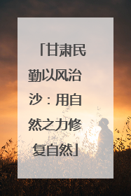 甘肃民勤以风治沙：用自然之力修复自然