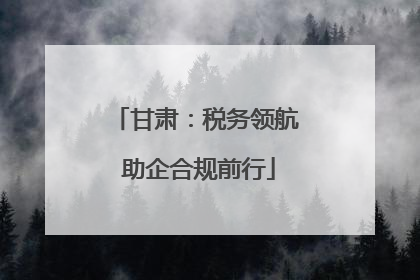 甘肃：税务领航 助企合规前行