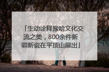 生动诠释豫哈文化交流之美，800余件新疆新瓷在平顶山展出