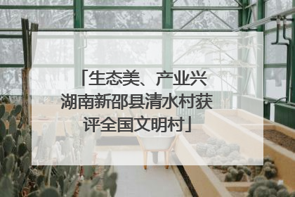 生态美、产业兴 湖南新邵县清水村获评全国文明村