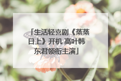 生活轻喜剧《蒸蒸日上》开机 高叶韩东君领衔主演
