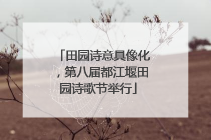 田园诗意具像化，第八届都江堰田园诗歌节举行
