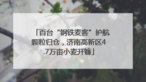 百台“钢铁麦客”护航颗粒归仓，济南高新区4.7万亩小麦开镰