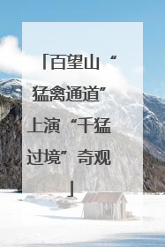 百望山“猛禽通道”上演“千猛过境”奇观