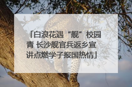 白浪花遇“舰”校园青 长沙舰官兵返乡宣讲点燃学子报国热情