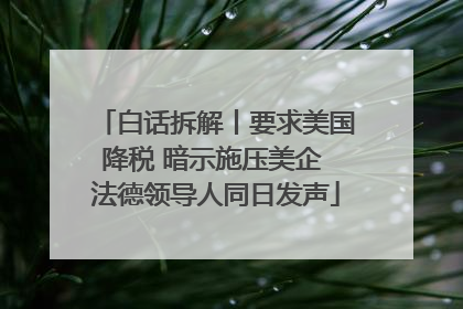 白话拆解丨要求美国降税 暗示施压美企 法德领导人同日发声