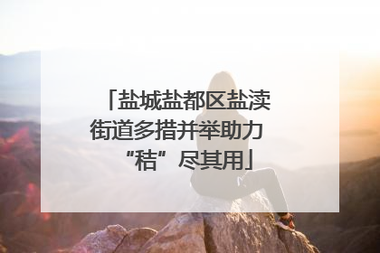 盐城盐都区盐渎街道多措并举助力“秸”尽其用