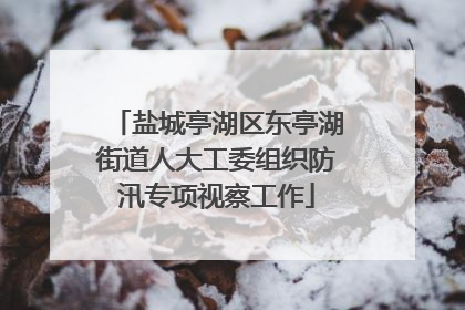 盐城亭湖区东亭湖街道人大工委组织防汛专项视察工作