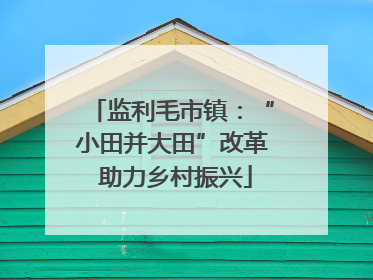监利毛市镇：“小田并大田”改革 助力乡村振兴
