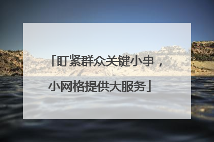 盯紧群众关键小事，小网格提供大服务