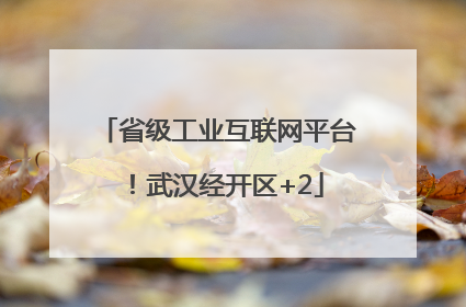 省级工业互联网平台！武汉经开区+2