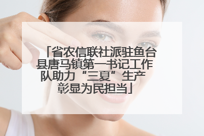 省农信联社派驻鱼台县唐马镇第一书记工作队助力“三夏”生产 彰显为民担当
