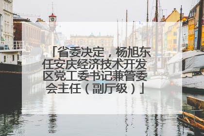 省委决定，杨旭东任安庆经济技术开发区党工委书记兼管委会主任（副厅级）