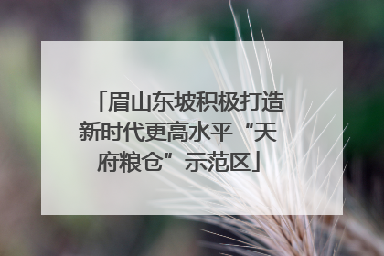 眉山东坡积极打造新时代更高水平“天府粮仓”示范区