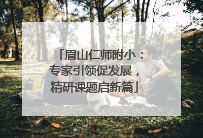 眉山仁师附小：专家引领促发展，精研课题启新篇