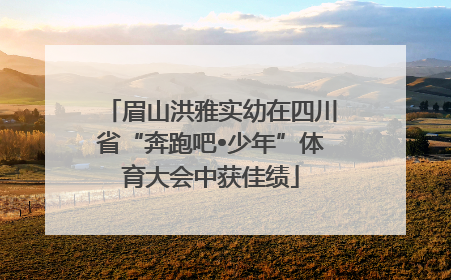 眉山洪雅实幼在四川省“奔跑吧•少年”体育大会中获佳绩