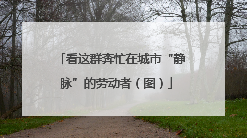 看这群奔忙在城市“静脉”的劳动者（图）