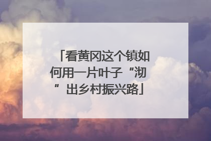 看黄冈这个镇如何用一片叶子“沏”出乡村振兴路