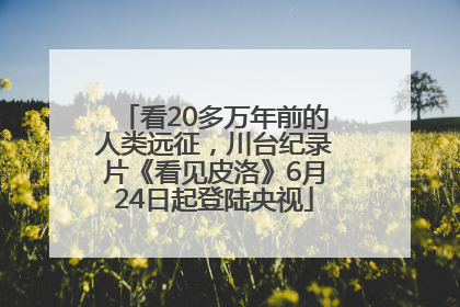 看20多万年前的人类远征，川台纪录片《看见皮洛》6月24日起登陆央视