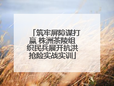 筑牢屏障谋打赢 株洲茶陵组织民兵展开抗洪抢险实战实训
