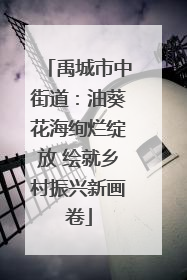 禹城市中街道：油葵花海绚烂绽放 绘就乡村振兴新画卷
